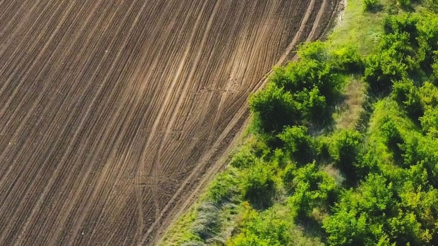 A field margin where arable meets rough scrub, with one sensor position marked